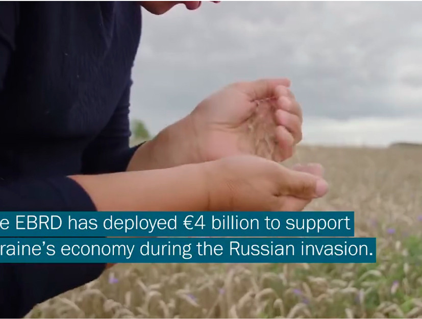 Sustaining bread supplies in Ukraine